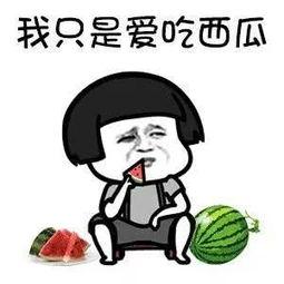 娱乐瓜都是在哪里吃的啊